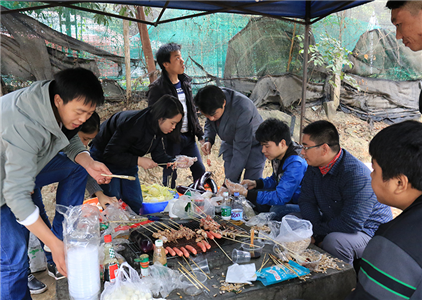 Barbecue activities